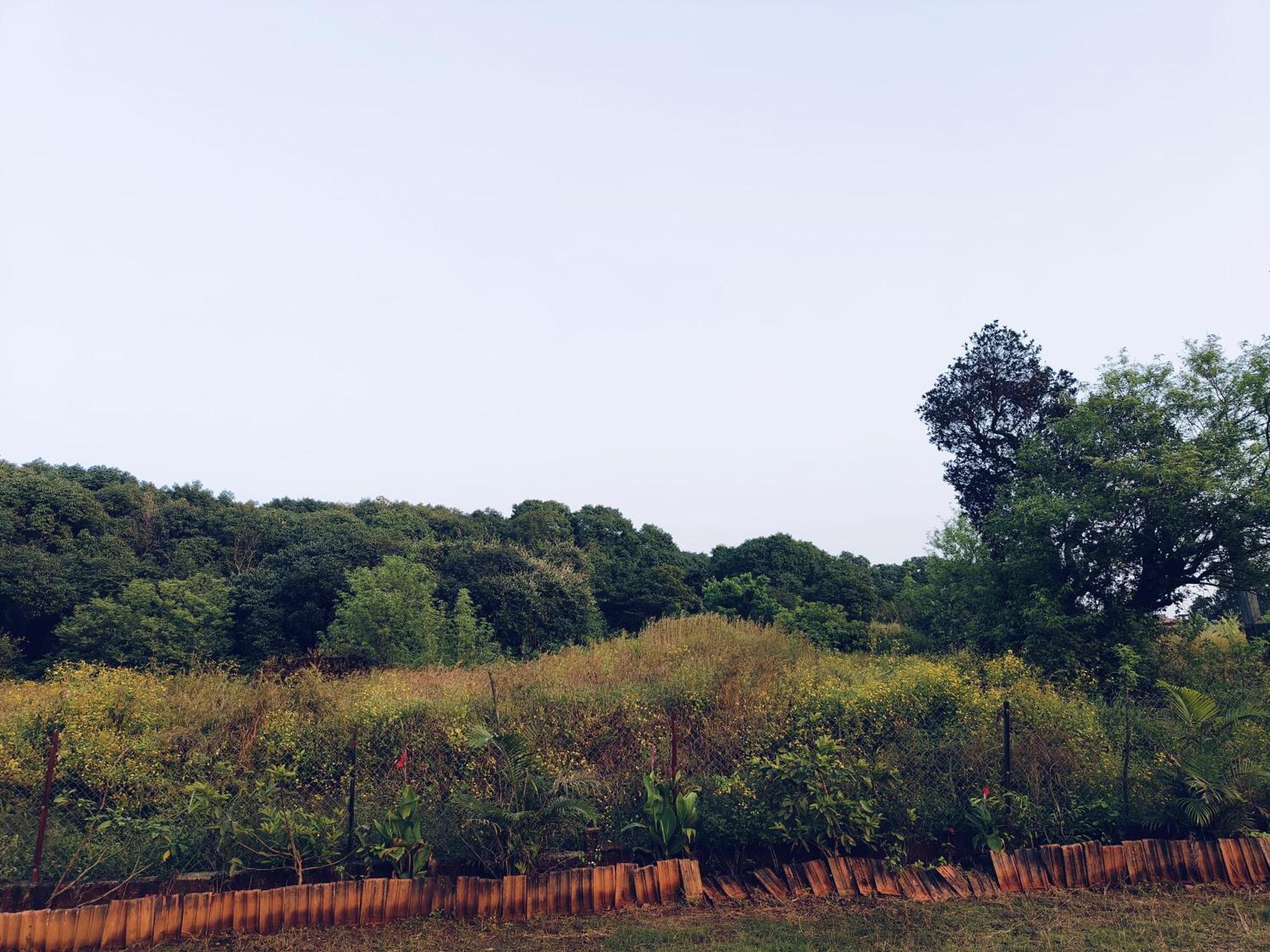 Laforesta By Mahabaleshwar Stay Exterior foto